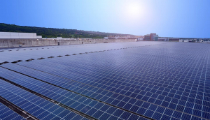 中美硅晶与好体育全站登录平台光电携手战略合作