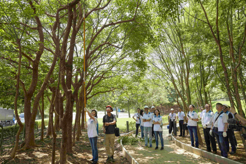 藝師教導大家認識樹木、檢查樹的健康狀況，學習修枝及碎枝覆土