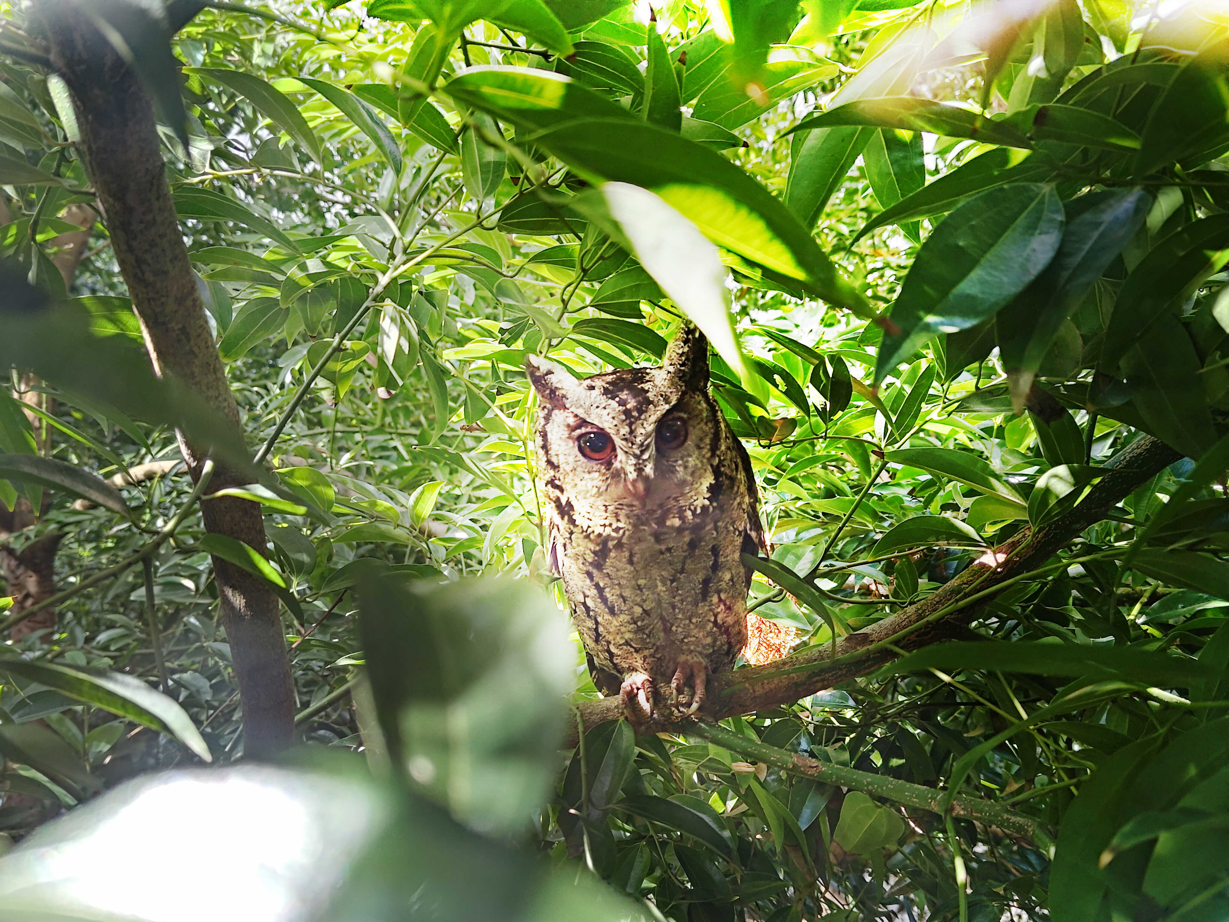 好体育全站登录平台致力提倡净零绿生活，16年以来在全球各厂区植树逾百万棵，造就各厂区树木蔚然成林，犹如森林工厂，成为许多生物的栖息地